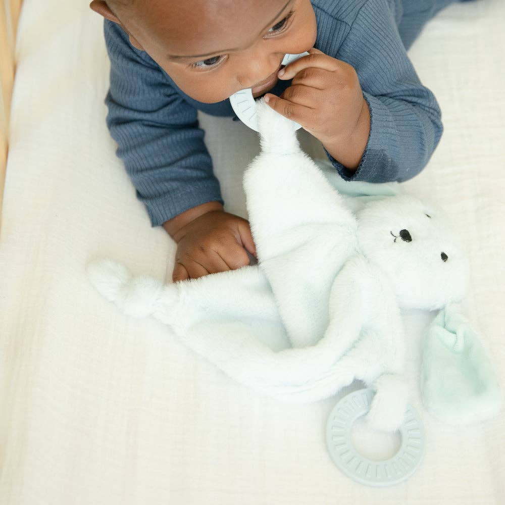 Bella Tunno - Dog Teether Buddy - a gift that gives two meals  Bella Tunno   -better made easy-eco-friendly-sustainable-gifting