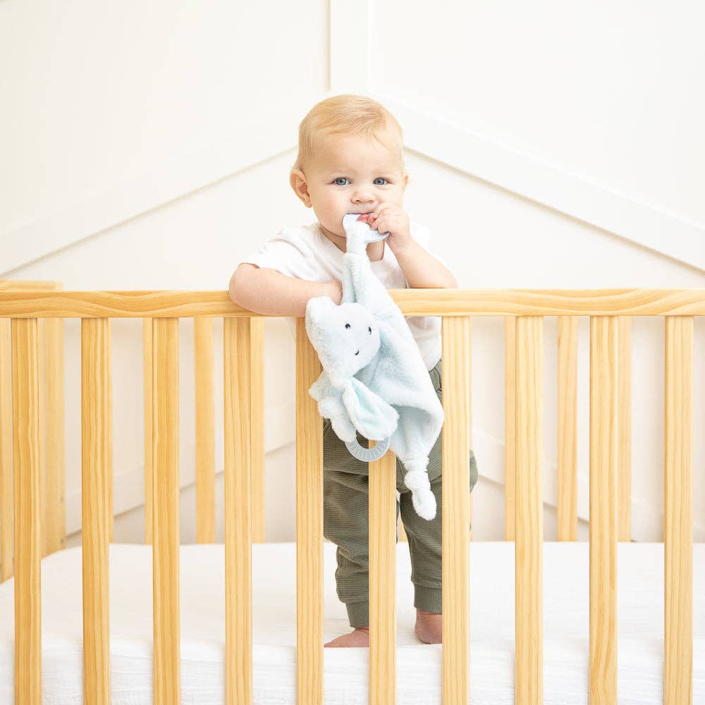 Bella Tunno - Dog Teether Buddy - a gift that gives two meals  Bella Tunno   -better made easy-eco-friendly-sustainable-gifting