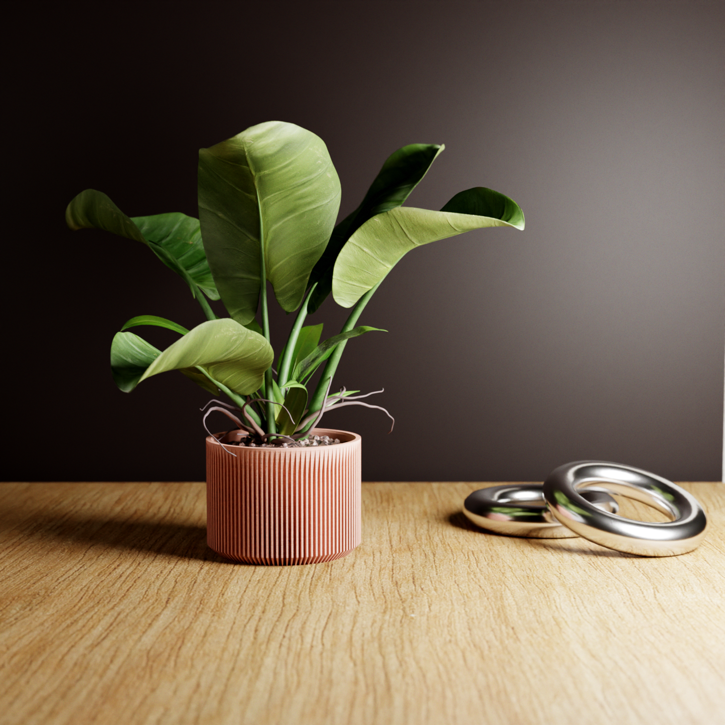 Modernized Pottery - SAKURA Planter Modernized Pottery -better made easy-eco-friendly-sustainable-gifting