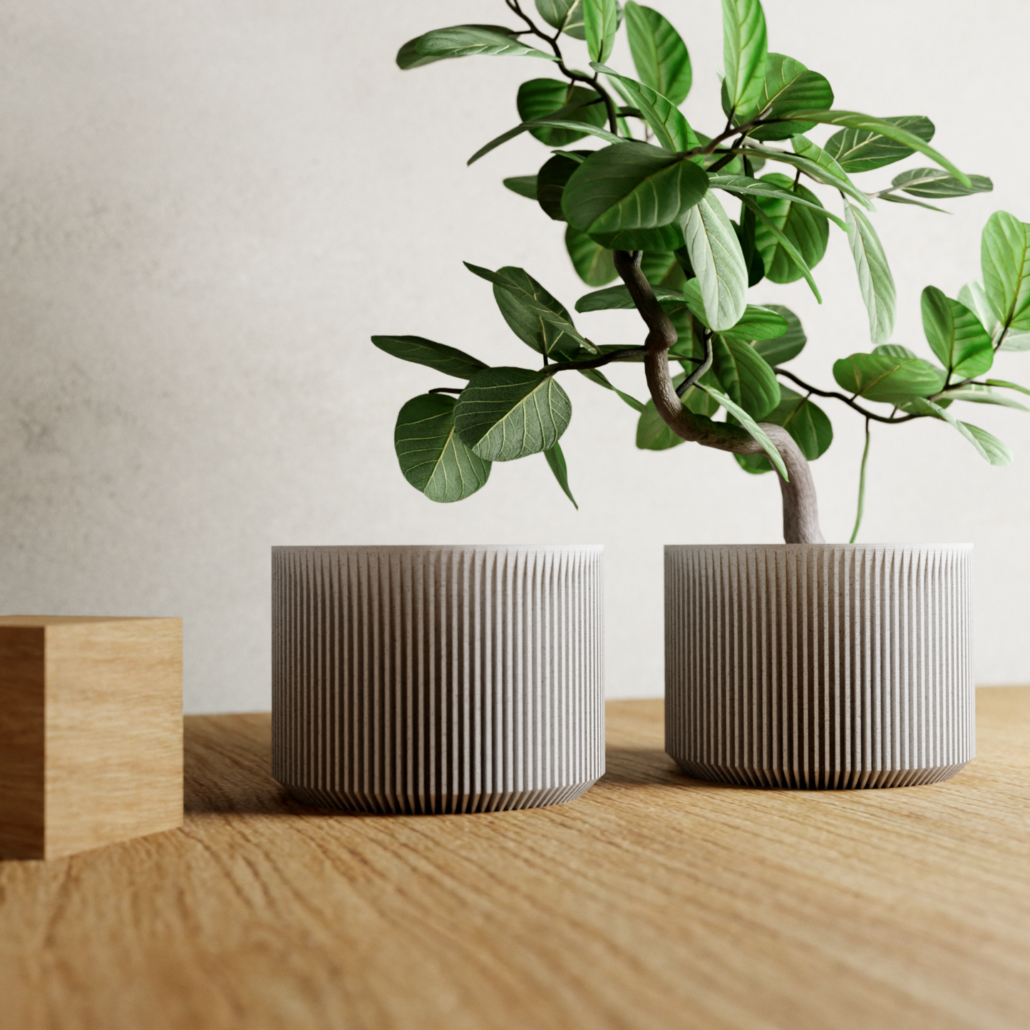 Modernized Pottery - SAKURA Planter Modernized Pottery -better made easy-eco-friendly-sustainable-gifting