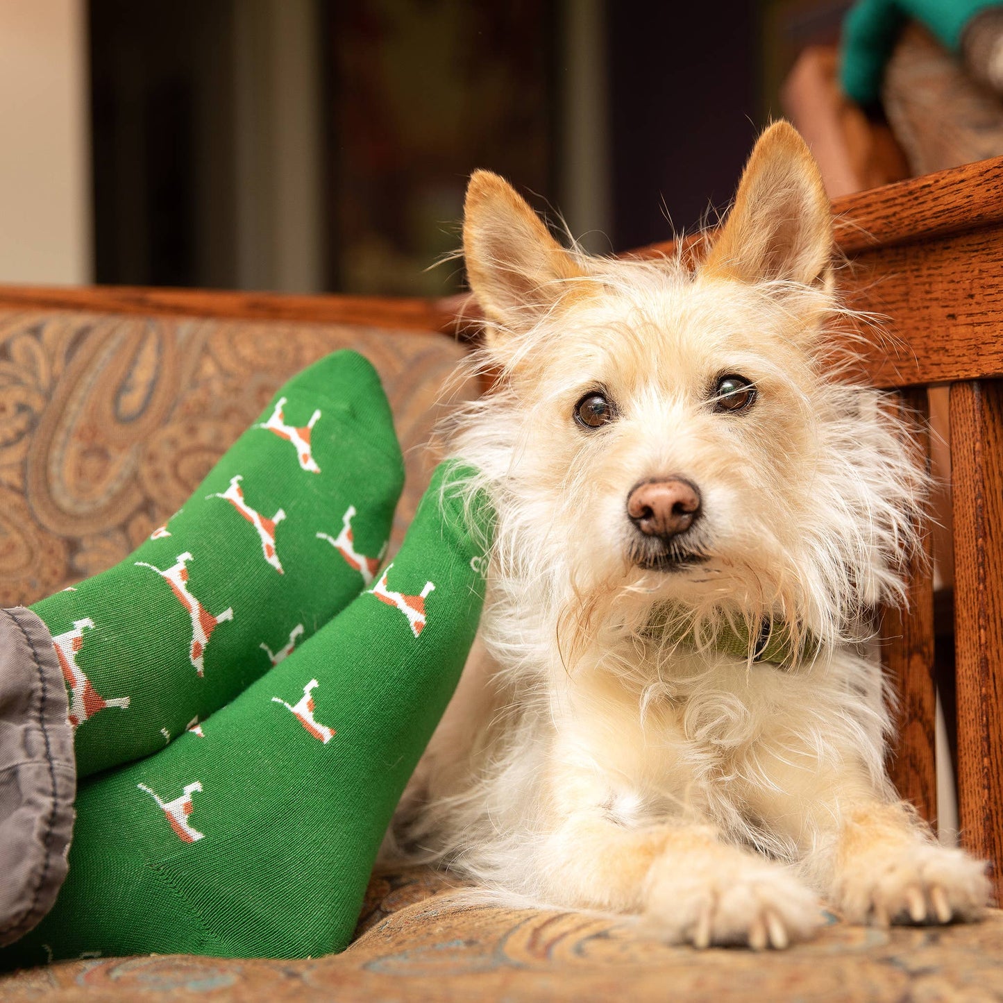 Socks that Save Dogs (Green Dogs) Conscious Step -better made easy-eco-friendly-sustainable-gifting