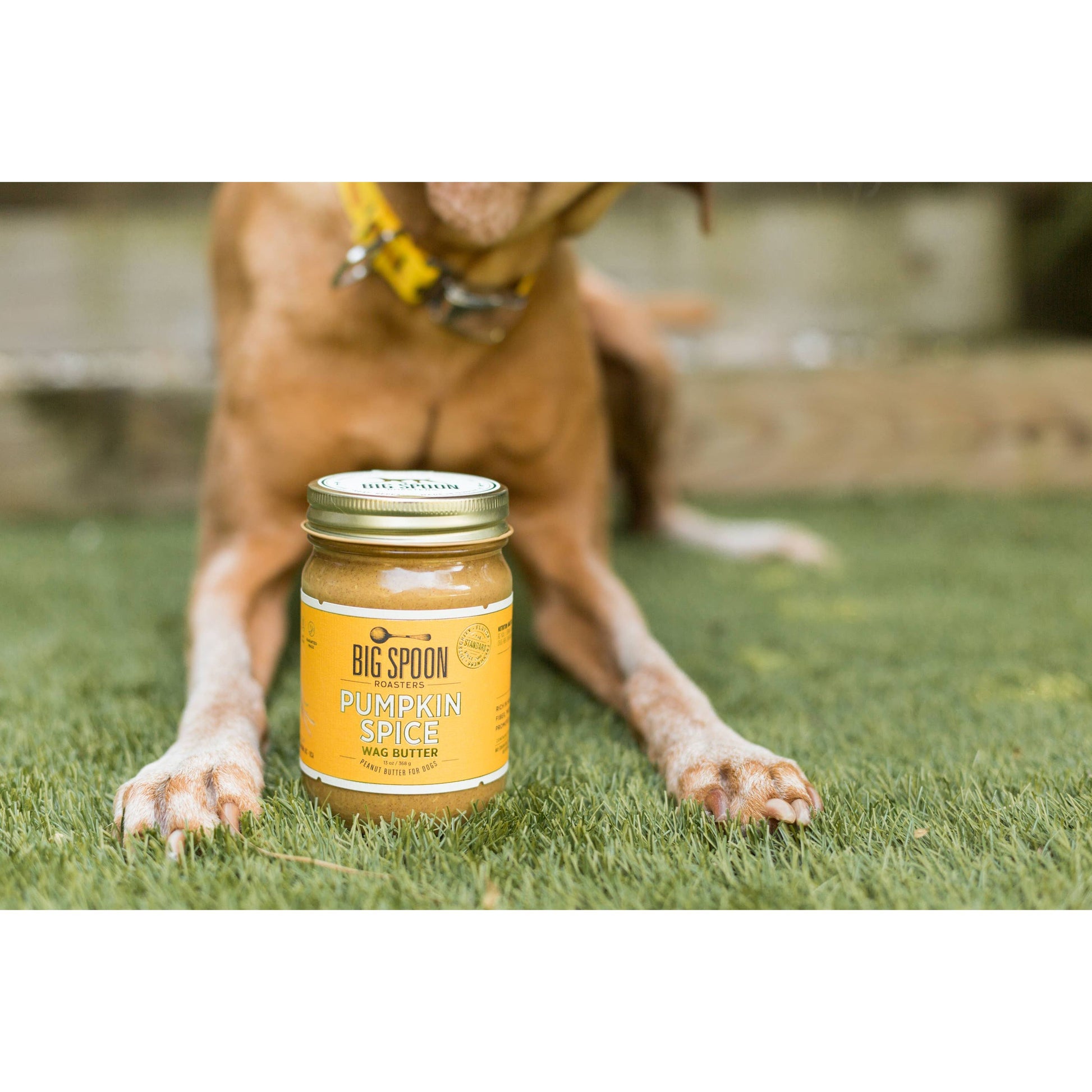 Big Spoon Roasters - Pumpkin Spice Wag Butter Big Spoon Roasters -better made easy-eco-friendly-sustainable-gifting