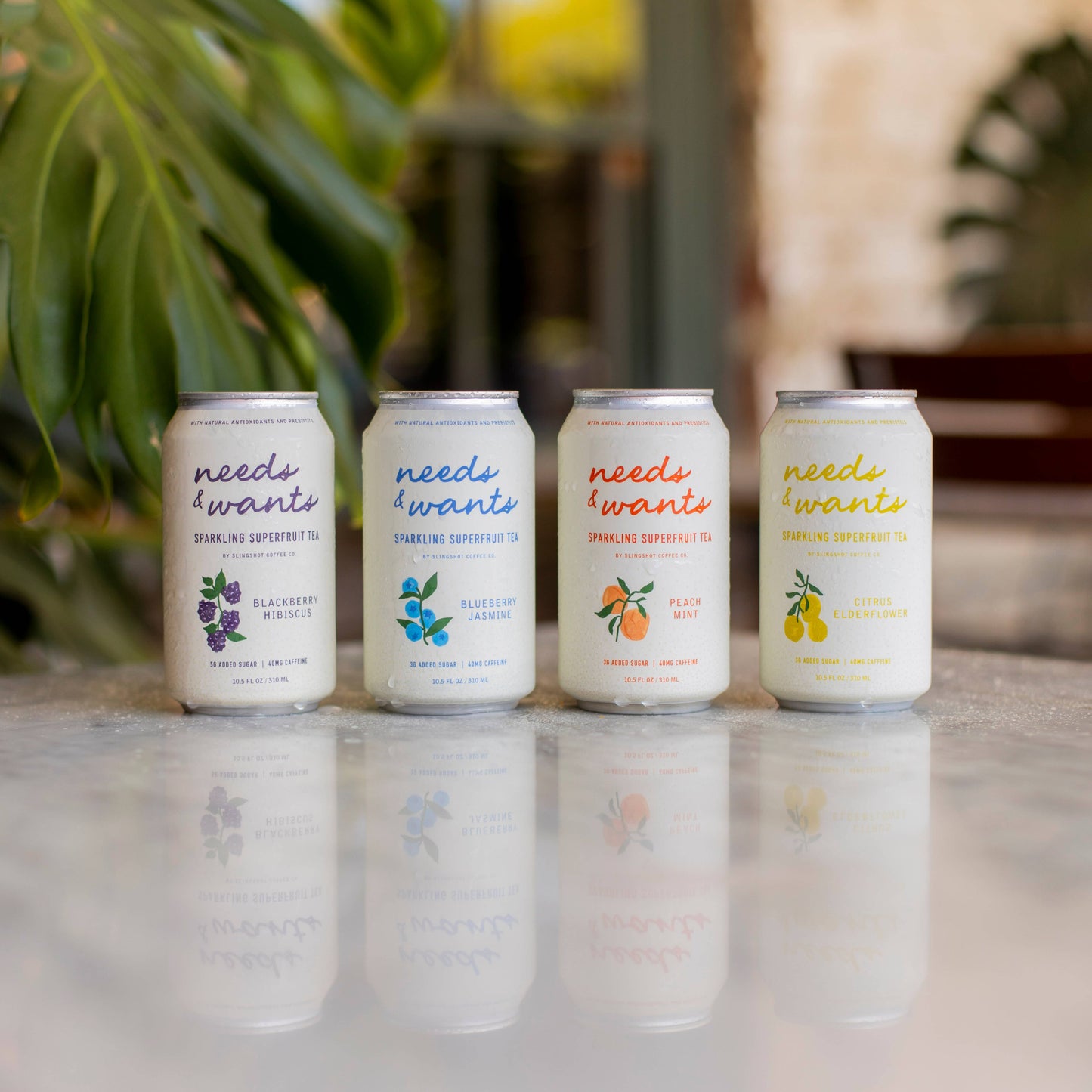 Needs & Wants Sparkling Superfruit Tea - Blackberry Hibiscus Slingshot Coffee Company -better made easy-eco-friendly-sustainable-gifting