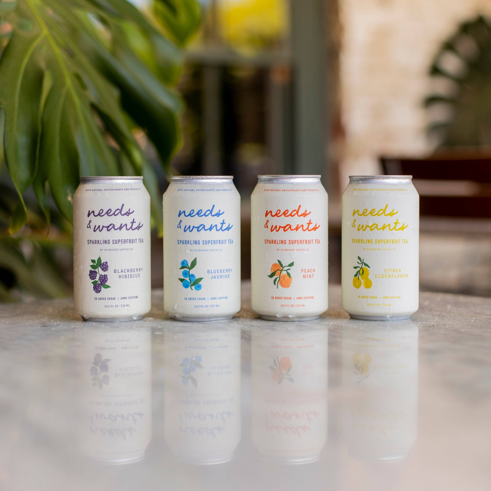 Needs & Wants Sparkling Superfruit Tea - Blackberry Hibiscus Slingshot Coffee Company -better made easy-eco-friendly-sustainable-gifting