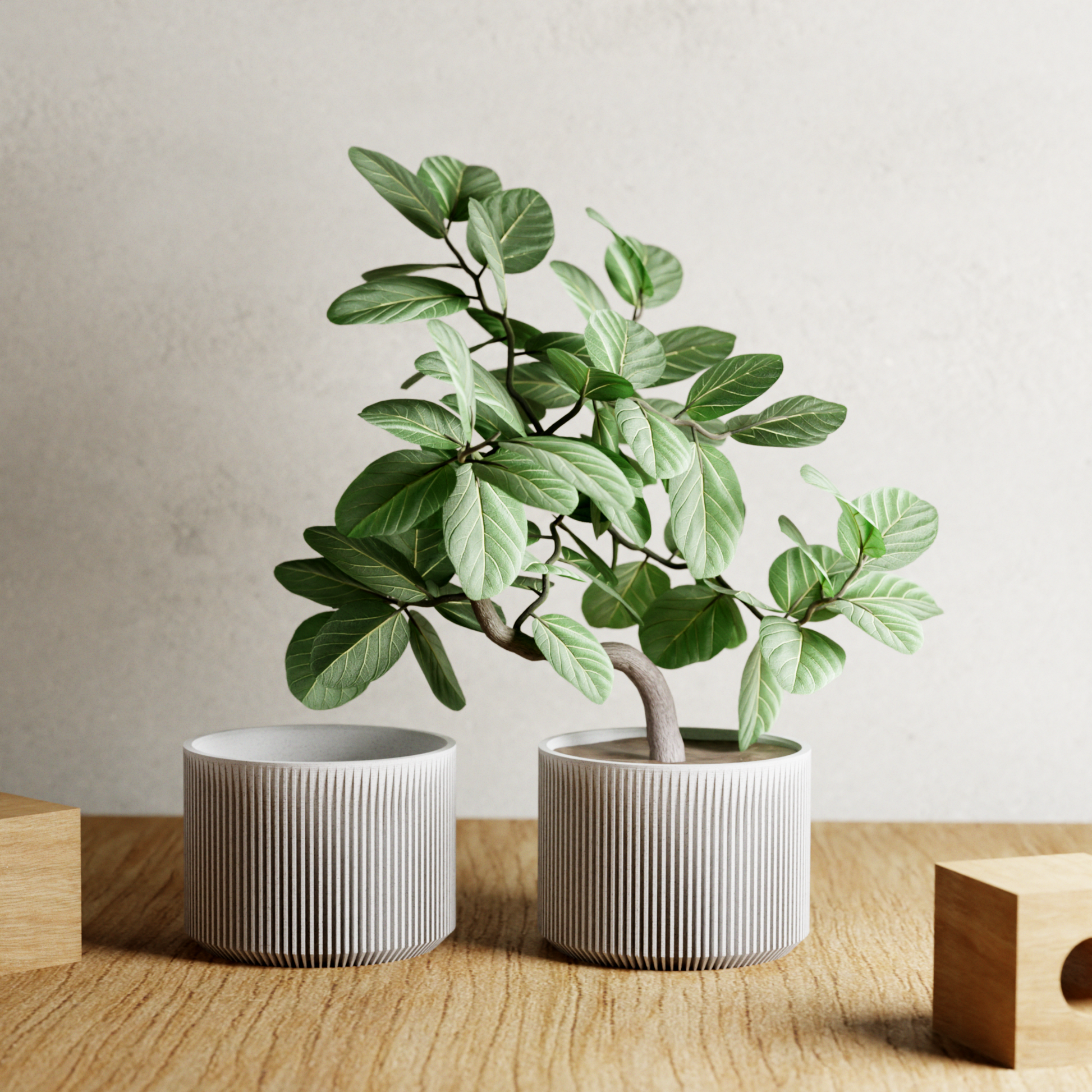 Modernized Pottery - SAKURA Planter  Modernized Pottery   -better made easy-eco-friendly-sustainable-gifting