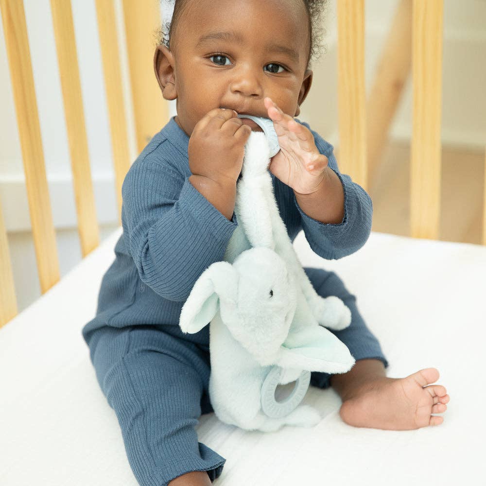 Bella Tunno - Dog Teether Buddy - a gift that gives two meals  Bella Tunno   -better made easy-eco-friendly-sustainable-gifting
