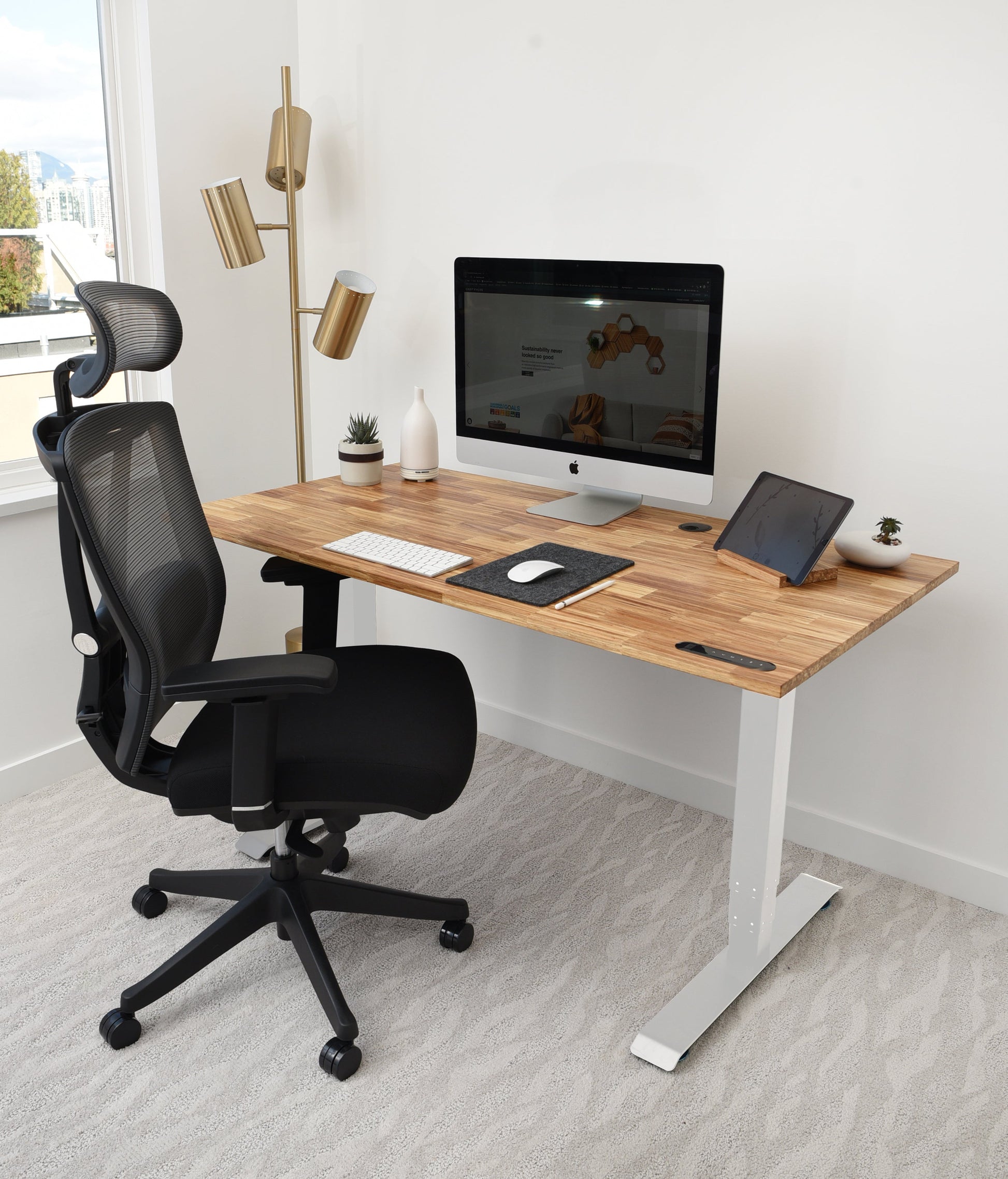 TerraDesk | Eco-Friendly Height-Adjustable Electric Standing Desk by EFFYDESK  EFFYDESK   -better made easy-eco-friendly-sustainable-gifting