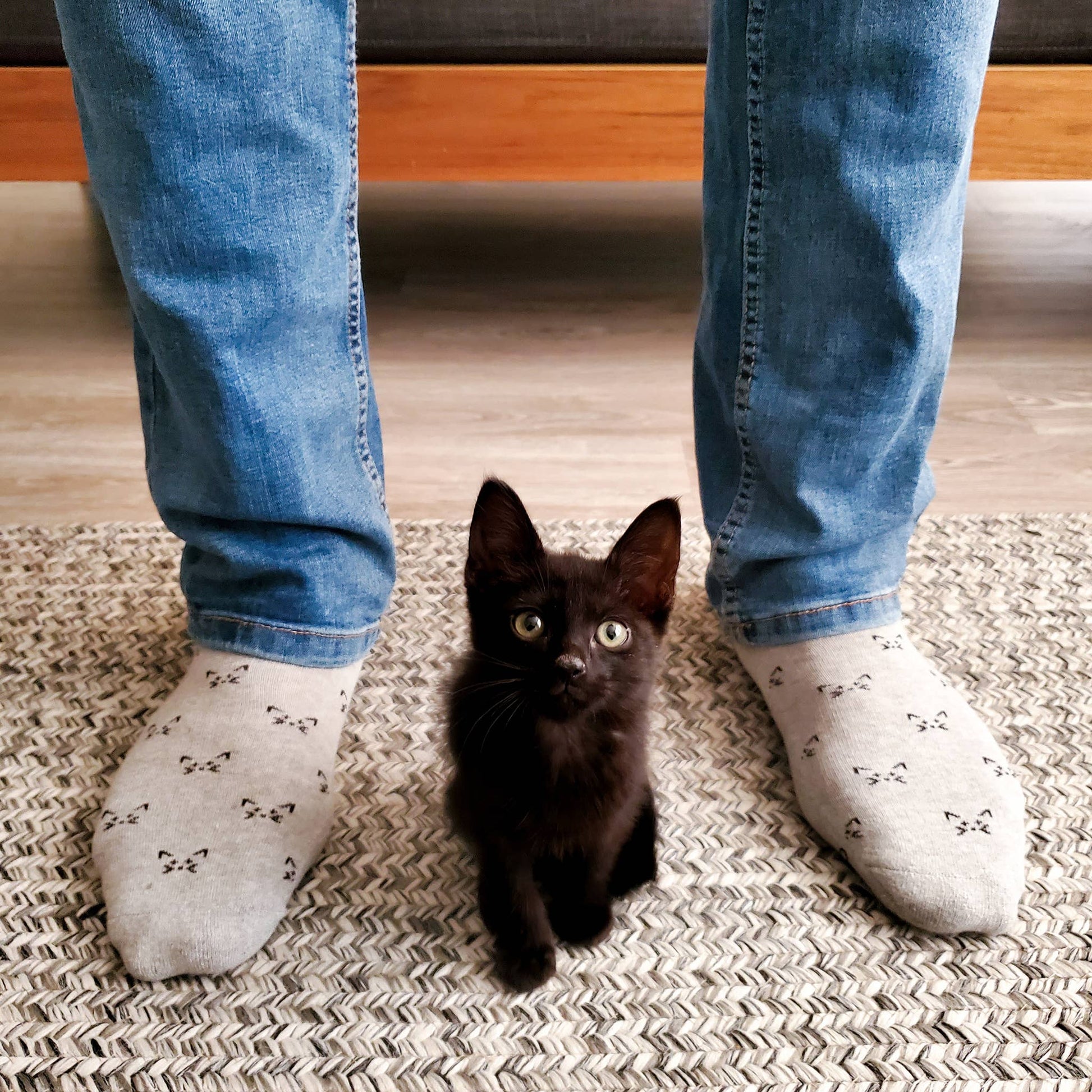 Conscious Step - Socks that Save Cats (Gray Cats)  Conscious Step   -better made easy-eco-friendly-sustainable-gifting
