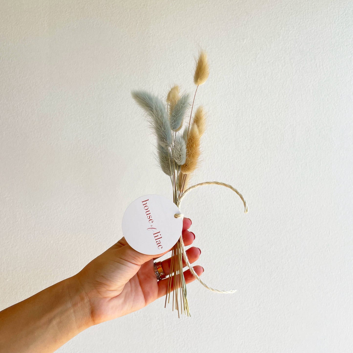 House of Lilac - Dried Flower Bunny Tail Bundles  House of Lilac Small Bundle Sky Nude -better made easy-eco-friendly-sustainable-gifting
