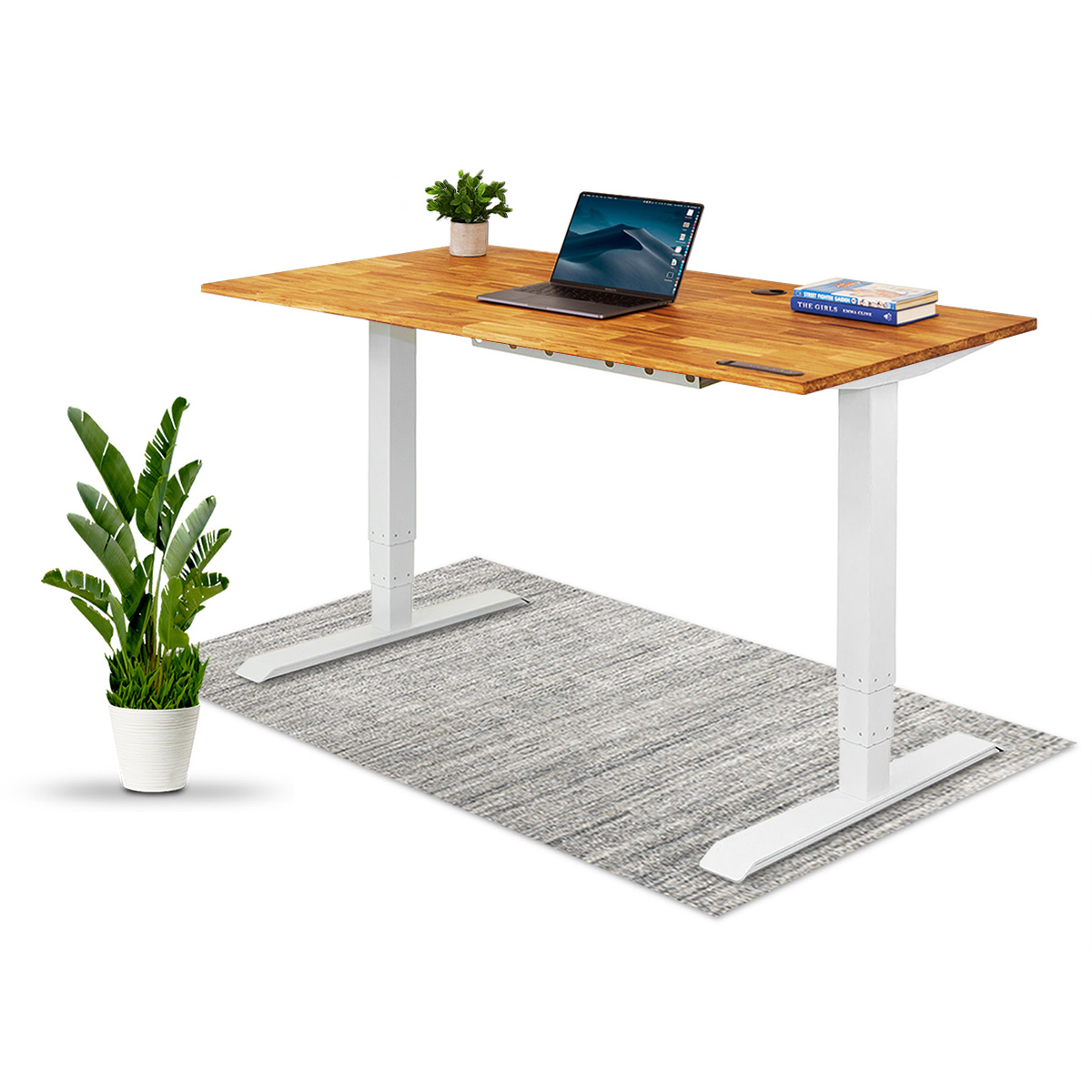 TerraDesk | Eco-Friendly Height-Adjustable Electric Standing Desk by EFFYDESK  EFFYDESK 55" x 29" White -better made easy-eco-friendly-sustainable-gifting