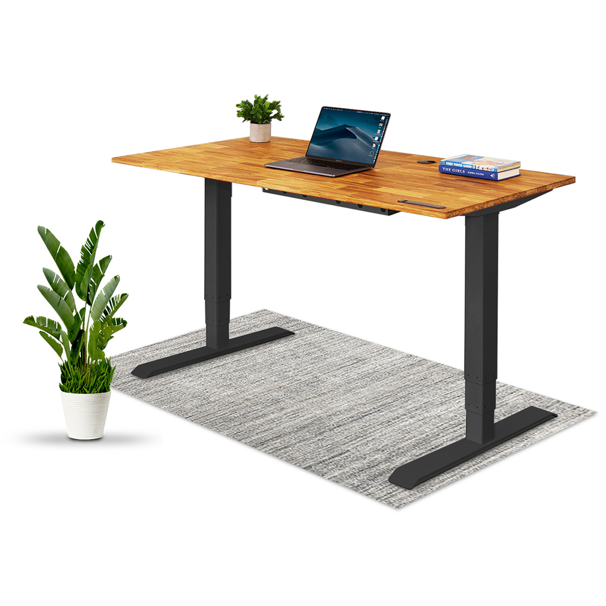 TerraDesk | Eco-Friendly Height-Adjustable Electric Standing Desk by EFFYDESK  EFFYDESK 55" x 29" Black -better made easy-eco-friendly-sustainable-gifting