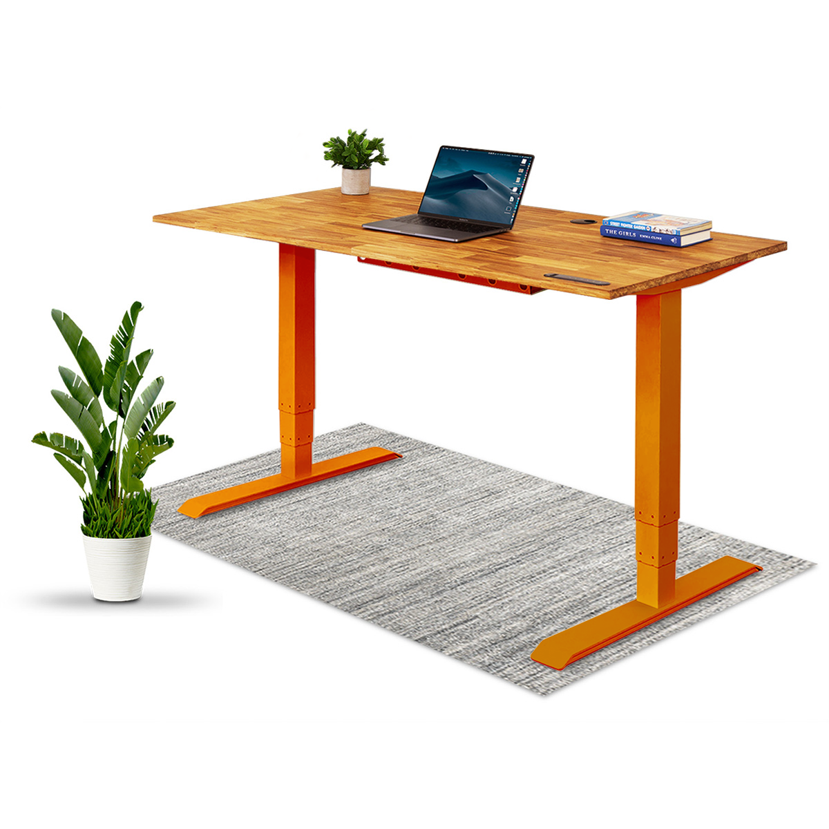 TerraDesk | Eco-Friendly Height-Adjustable Electric Standing Desk by EFFYDESK  EFFYDESK 55" x 29" Orange -better made easy-eco-friendly-sustainable-gifting