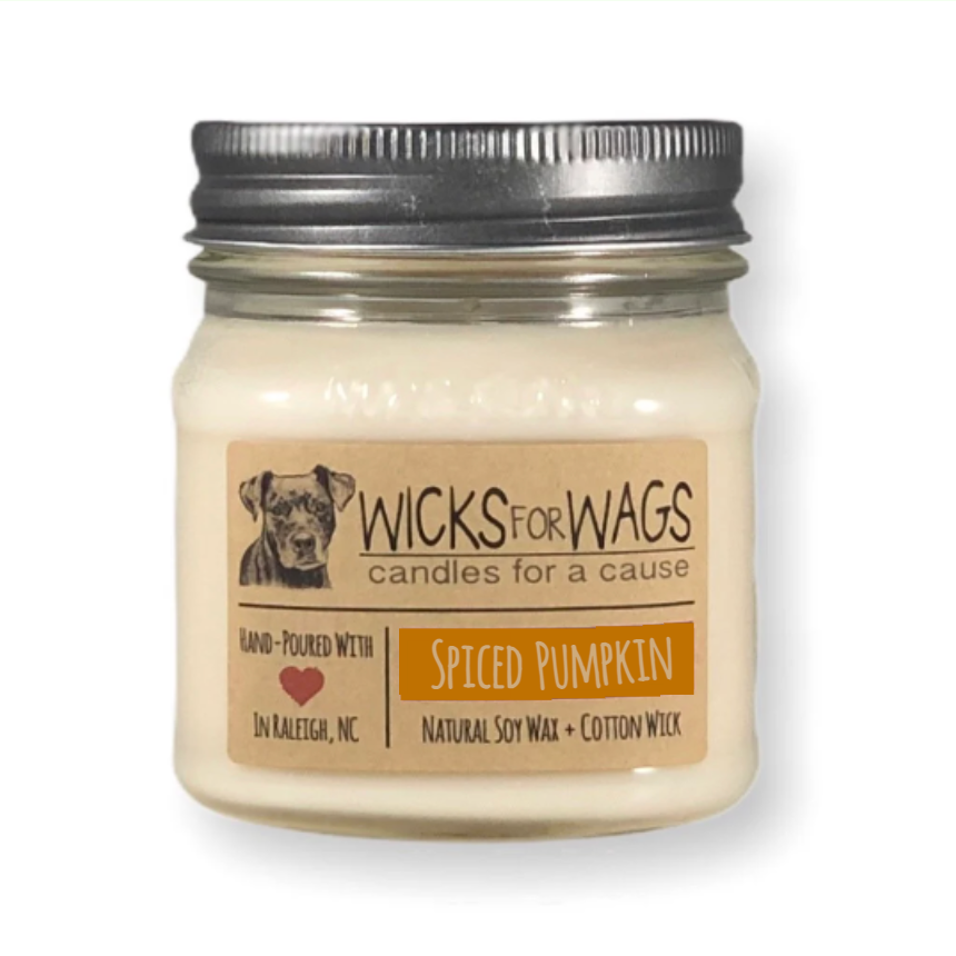 Wicks for Wags - Spiced Honey Pumpkin Candle | Fall Candle | 8 oz Mason Jar  Wicks for Wags Candles   -better made easy-eco-friendly-sustainable-gifting