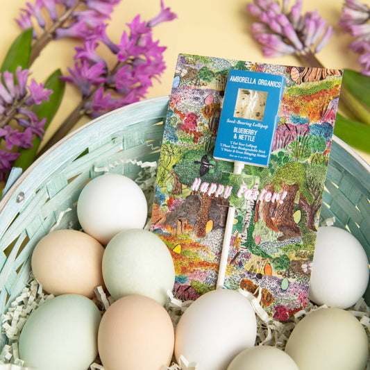 Amborella Organics - Easter Cards with Organic Lollipops (Eat, Plant, Grow)  Amborella Organics   -better made easy-eco-friendly-sustainable-gifting